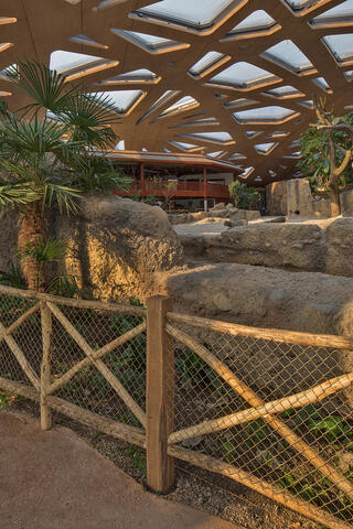 Elefantenpark, Zoo Zürich, Fischer Architekten AG